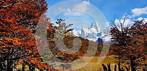 Laguna Capri and Mount Fitz Roy with autumn colors, Argentina