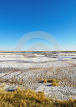Salar de Atacama in Chile photo