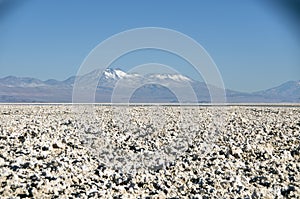 Laguna Chaxa, Chile