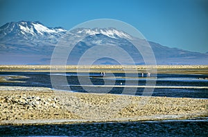 Laguna Chaxa, Chile