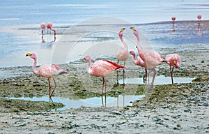 Laguna colorada