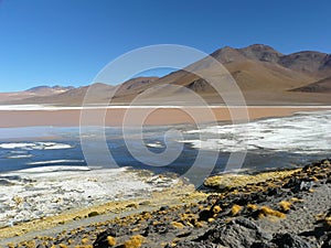 Laguna Colorada, Altiplano, Bolivia photo