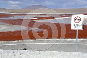 Laguna Colorada, Altiplano, Bolivian Andes photo