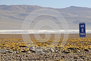 Laguna Colorada, Altiplano, Bolivian Andes
