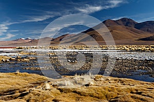 Laguna Colorada and around in Altiplano Boliviano