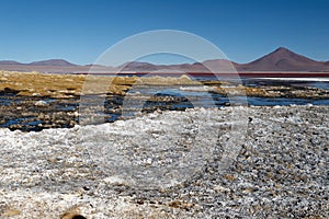 Laguna Colorada and around in Altiplano Boliviano
