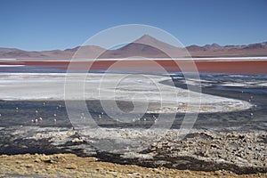 Laguna Colorada in Avaroa National Park in Bolivia