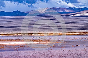 Laguna Colorada Carachi Pampa, Argentina