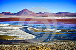 Laguna Colorada de Uyuni, Reserva Eduardo Avaroa, Bolivia photo