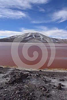 Laguna Colorada in the Eduardo Avaroa Andean Fauna Natural Reserve, Bolivia