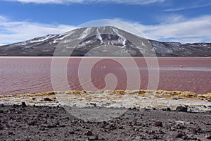 Laguna Colorada in the Eduardo Avaroa Andean Fauna Natural Reserve, Bolivia