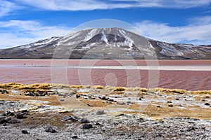 Laguna Colorada in the Eduardo Avaroa Andean Fauna Natural Reserve, Bolivia