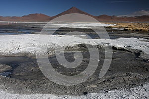 Laguna Colorada landscape