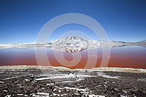 Laguna Colorada Red Lagoon, Bolivia