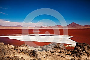 Laguna colorada in reserva Eduardo Avaroa, Bolivia Salar de uyuni altiplano photo