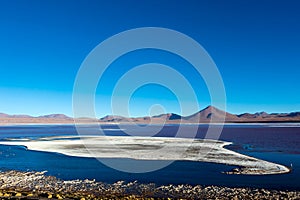 Laguna Colorada, shallow salt lake in the southwest of the altiplano of Bolivia