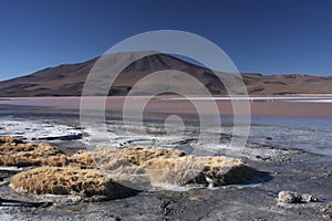 Laguna Colorada shore