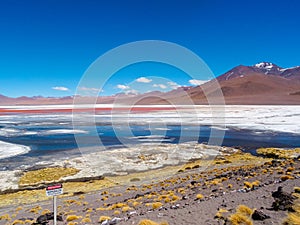 Laguna Colorada, Spellbound by Salar de Uyuni, Bolivia photo
