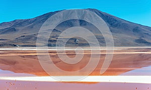 Laguna Colorada, Uyuni, Bolivia