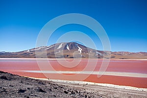 Laguna Colorada view, Bolivia