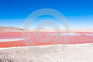 Laguna Colorada view, Bolivia