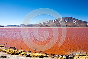 Laguna Colorada view, Bolivia