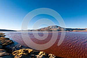 Laguna Colorada view, Bolivia