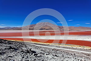 Laguna Colorado, Bolivia photo