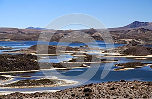 Laguna Cotatotani in Park Lauca photo