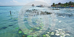 Laguna de Bacalar Lagoon in Mayan Mexico