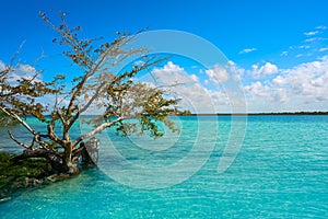 Laguna de Bacalar Lagoon in Mexico