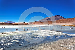 Laguna de Canapa, Bolivia photo