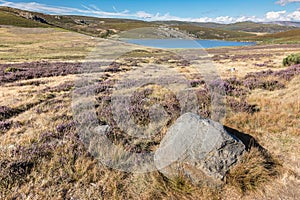 Laguna de los Peces Fish Lagoon Sanabria, Spain photo