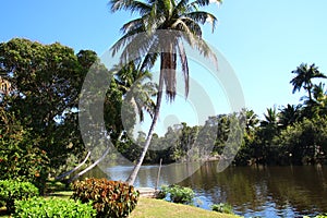 Landscape in the Laguna del Tesoro, Cuba photo