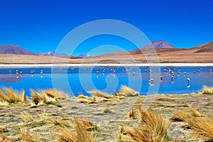 Laguna Desert, Bolivia photo