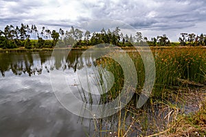 Laguna El Salado, Carchi