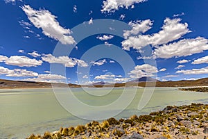 Laguna Hedionda, Altiplano, Bolivia