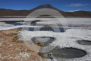 Laguna Hedionda borax shore