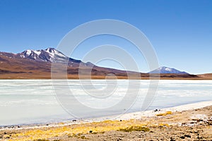 Laguna Hedionda view, Bolivia