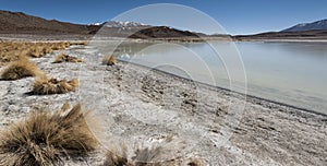 Laguna Honda in English `Deep Lagoon` in sud Lipez Altiplano reserva Eduardo Avaroa - Bolivia