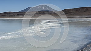 Laguna Honda in English `Deep Lagoon` in sud Lipez Altiplano reserva Eduardo Avaroa - Bolivia