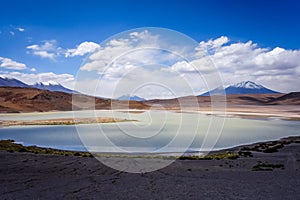 Laguna Honda in sud Lipez Altiplano reserva, Bolivia