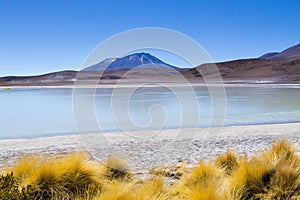 Laguna Honda view, Bolivia