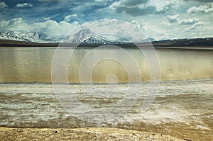 Laguna lejia (bleach lake) in Atacama region