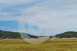 Laguna Meadows on Mount Laguna