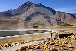 Laguna Miscanti - Andes Mountains - Atacama Desert