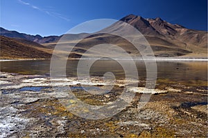 Laguna Miscanti in the Atacama Desert - Chile