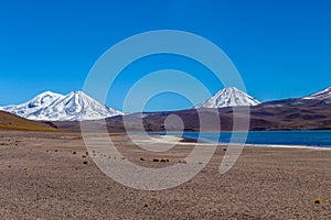 Laguna Miscanti high in the Andes Mountains in the Atacama Desert, northern Chile, South America