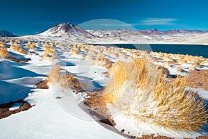 Laguna Miscanti Miscanti Lagoon and Cerro Miscanti Miscanti hill in the Altiplano