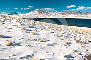 Laguna Miscanti Miscanti Lagoon and Cerro Miscanti Miscanti hill in the Altiplano High Andean Plateau at an altitude of 4350
